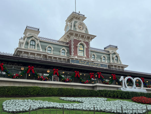 Park Parent Perspective #1: Our Next Trip to Disney World!